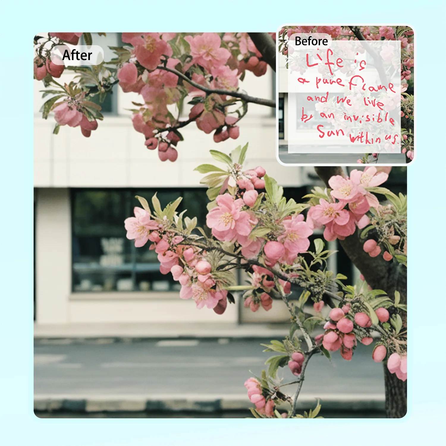 remove unwanted objects