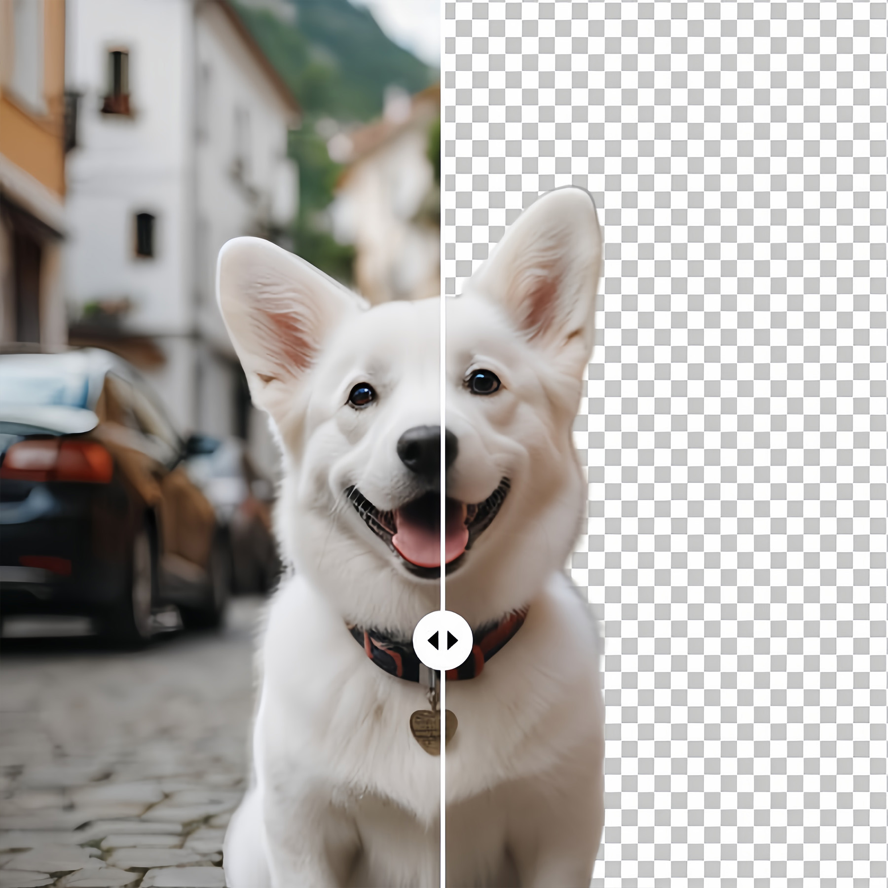 automatic background remover c