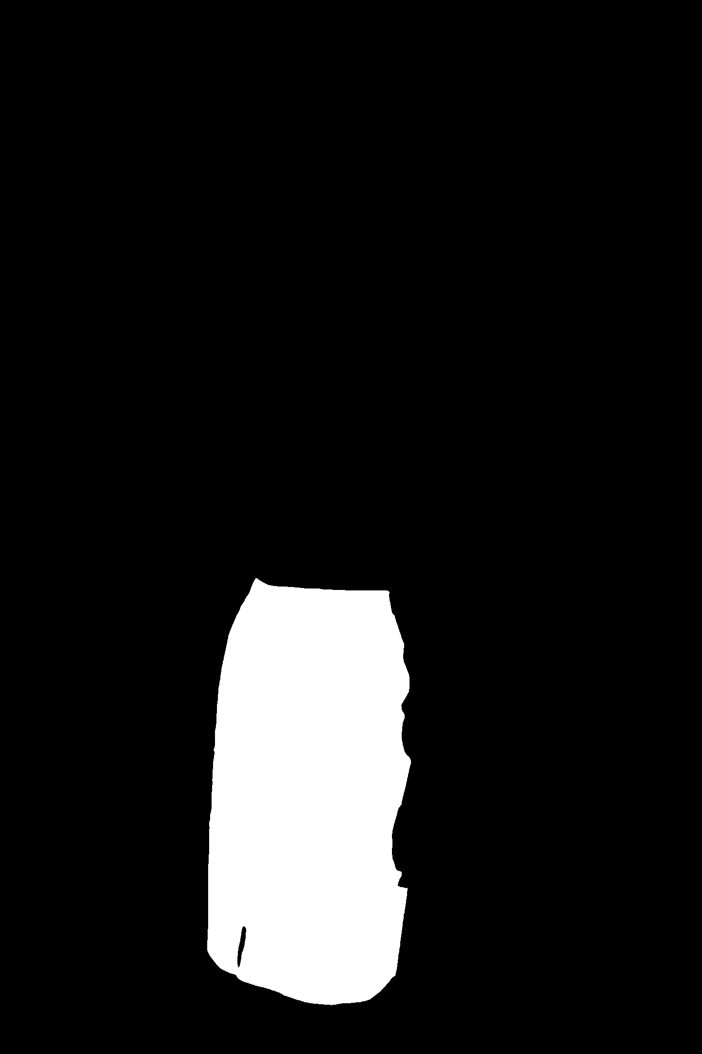 Mask for the skirt