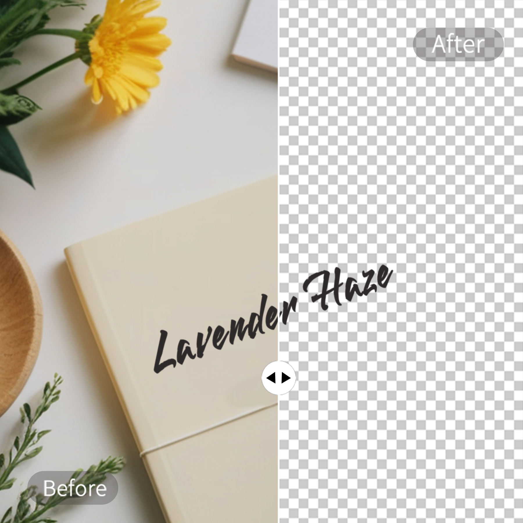 remove background from signature b