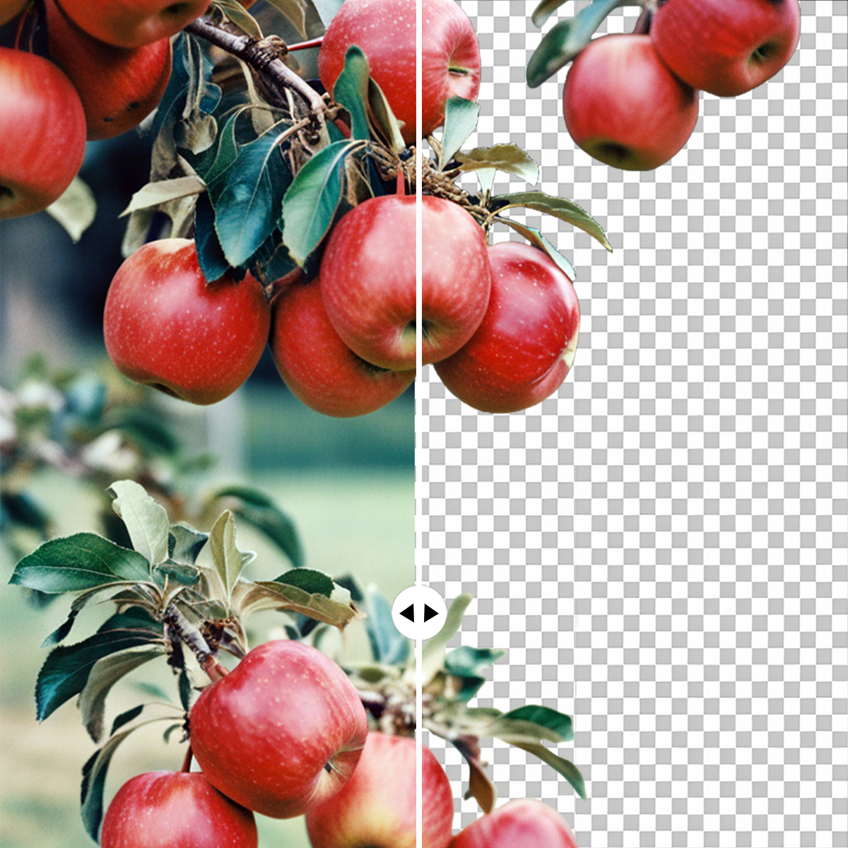 convert image into transparent background b