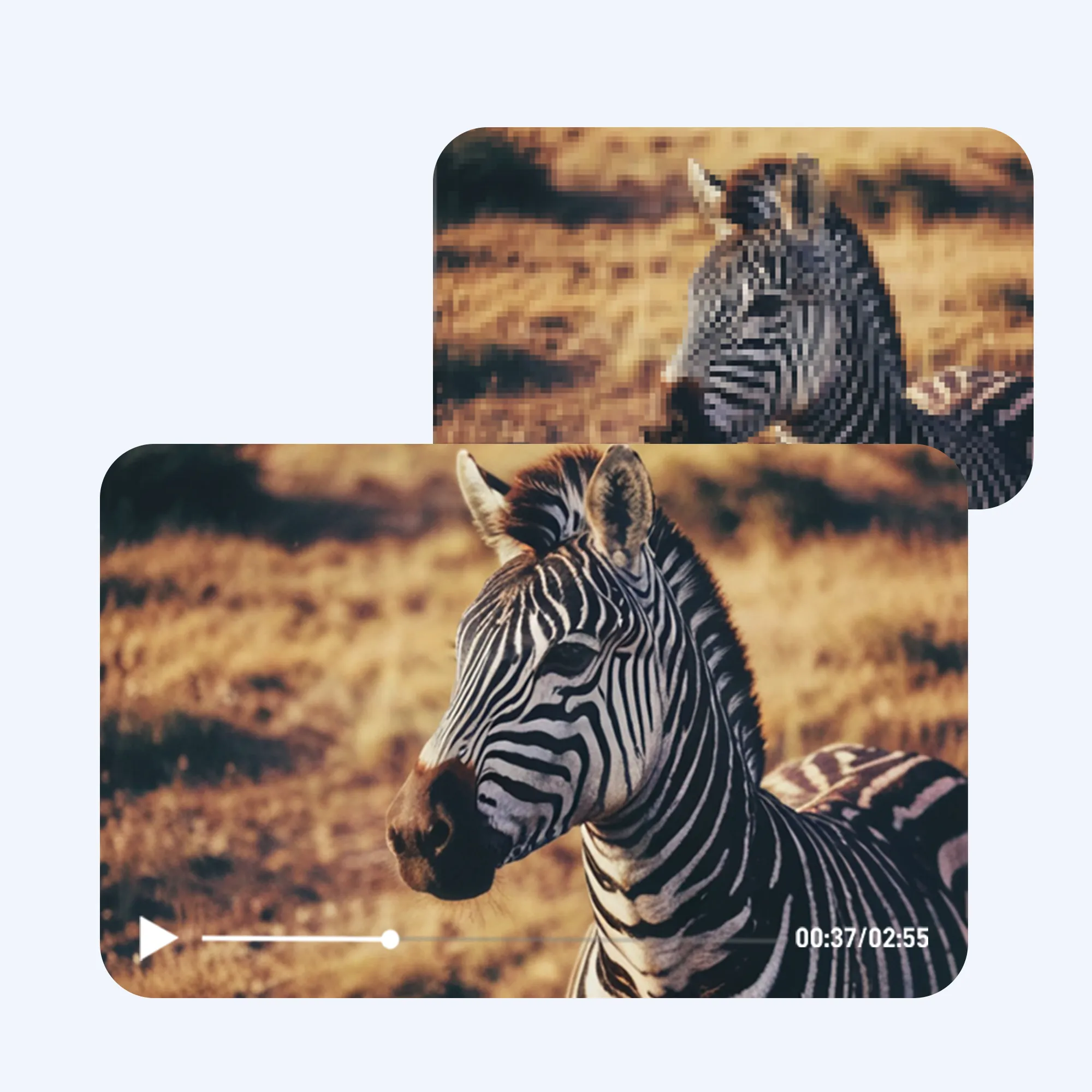 Simple and Easy to Use